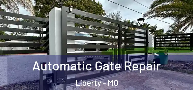 Automatic Gate Repair Liberty - MO
