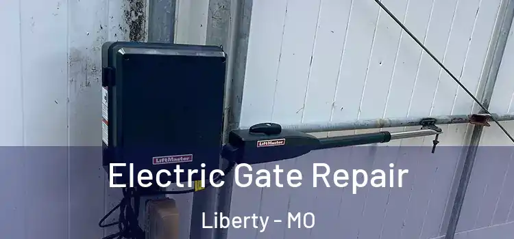 Electric Gate Repair Liberty - MO