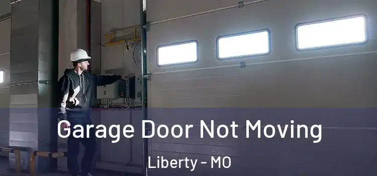  Garage Door Not Moving Liberty - MO