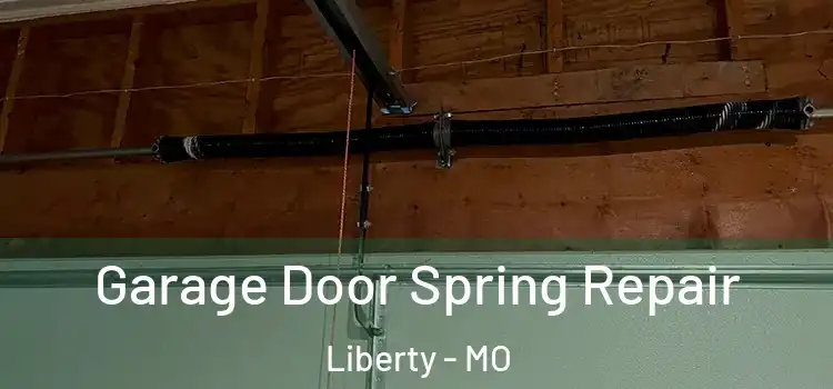  Garage Door Spring Repair Liberty - MO