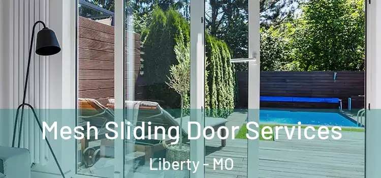 Mesh Sliding Door Services Liberty - MO