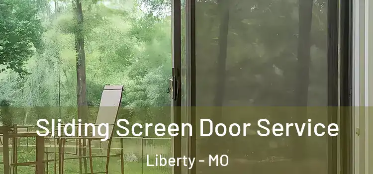 Sliding Screen Door Service Liberty - MO